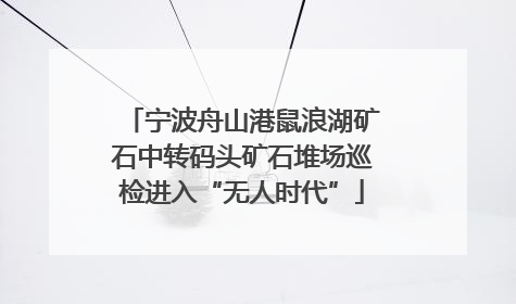 宁波舟山港鼠浪湖矿石中转码头矿石堆场巡检进入“无人时代”