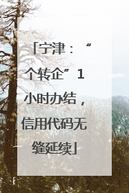 宁津：“个转企”1小时办结，信用代码无缝延续