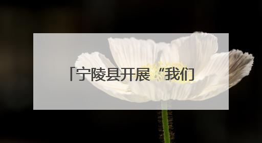 宁陵县开展“我们的节日·端午”走进社区文明实践活动