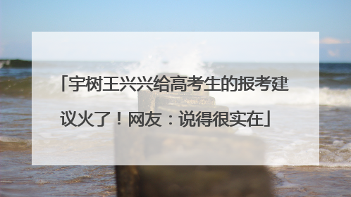 宇树王兴兴给高考生的报考建议火了！网友：说得很实在