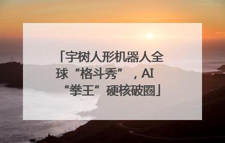 宇树人形机器人全球“格斗秀”，AI“拳王”硬核破圈