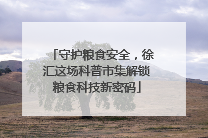 守护粮食安全，徐汇这场科普市集解锁粮食科技新密码