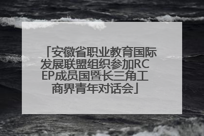 安徽省职业教育国际发展联盟组织参加RCEP成员国暨长三角工商界青年对话会