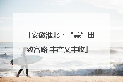 安徽淮北：“蒜”出致富路 丰产又丰收