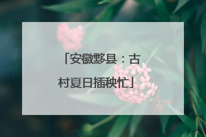 安徽黟县：古村夏日插秧忙