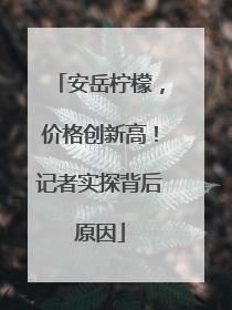 安岳柠檬，价格创新高！记者实探背后原因