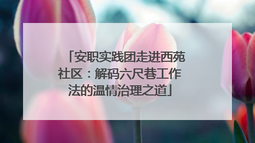 安职实践团走进西苑社区：解码六尺巷工作法的温情治理之道