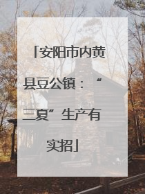 安阳市内黄县豆公镇：“三夏”生产有实招
