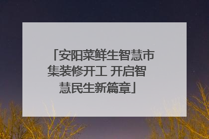 安阳菜鲜生智慧市集装修开工 开启智慧民生新篇章