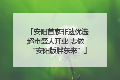 安阳首家非遗优选超市盛大开业 志做“安阳版胖东来”