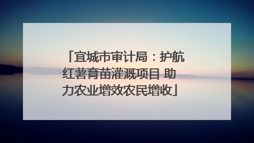宜城市审计局：护航红薯育苗灌溉项目 助力农业增效农民增收