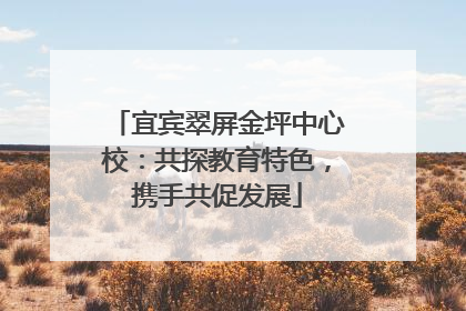 宜宾翠屏金坪中心校：共探教育特色，携手共促发展