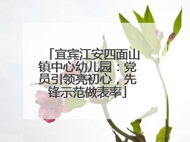宜宾江安四面山镇中心幼儿园：党员引领亮初心，先锋示范做表率