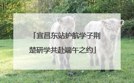 宜昌东站护航学子荆楚研学共赴端午之约