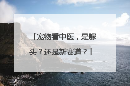 宠物看中医，是噱头？还是新赛道？