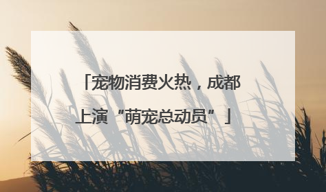 宠物消费火热，成都上演“萌宠总动员”