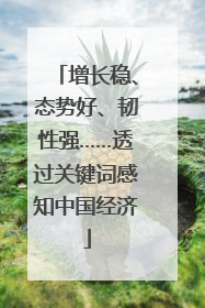 增长稳、态势好、韧性强……透过关键词感知中国经济