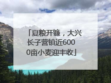 夏粮开镰，大兴长子营镇近6000亩小麦迎丰收