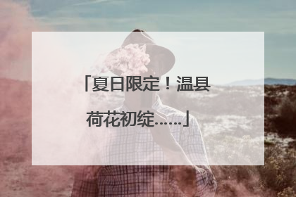 夏日限定！温县荷花初绽……