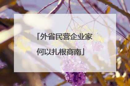 外省民营企业家何以扎根商南