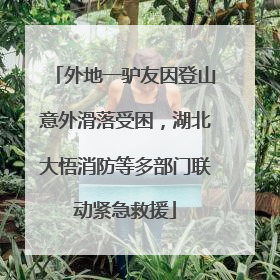 外地一驴友因登山意外滑落受困，湖北大悟消防等多部门联动紧急救援