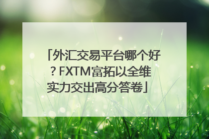 外汇交易平台哪个好？FXTM富拓以全维实力交出高分答卷