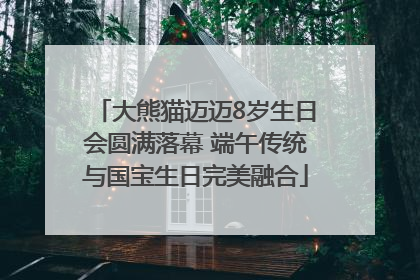 大熊猫迈迈8岁生日会圆满落幕 端午传统与国宝生日完美融合
