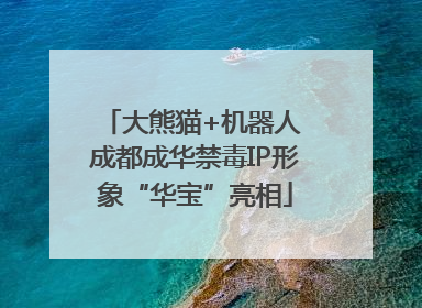大熊猫+机器人 成都成华禁毒IP形象“华宝”亮相