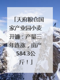 天府粮仓国家产业园小麦开镰：产量三年连涨，亩产584.3公斤！
