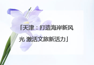 天津：打造海岸新风光 激活文旅新活力