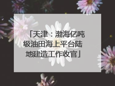 天津：渤海亿吨级油田海上平台陆地建造工作收官