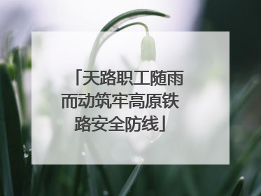 天路职工随雨而动筑牢高原铁路安全防线