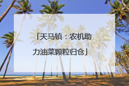 天马镇：农机助力油菜颗粒归仓