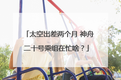 太空出差两个月 神舟二十号乘组在忙啥？