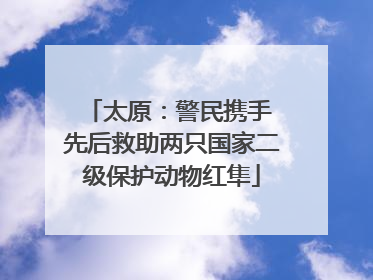 太原：警民携手 先后救助两只国家二级保护动物红隼