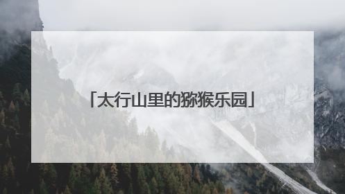 太行山里的猕猴乐园