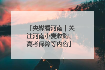 央媒看河南｜关注河南小麦收购、高考保障等内容