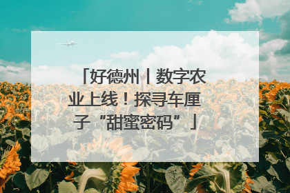 好德州丨数字农业上线！探寻车厘子“甜蜜密码”