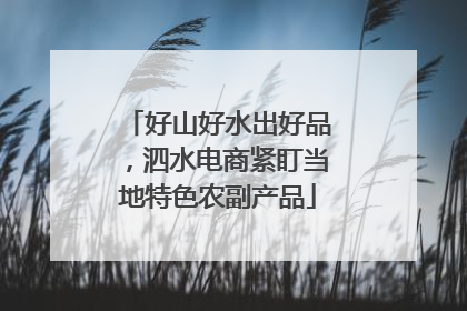 好山好水出好品，泗水电商紧盯当地特色农副产品