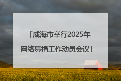 威海市举行2025年网络募捐工作动员会议