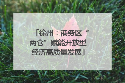 徐州:港务区“两仓”赋能开放型经济高质量发展