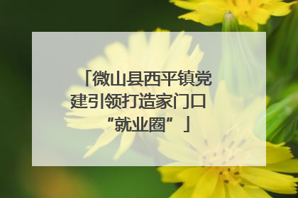 微山县西平镇党建引领打造家门口“就业圈”
