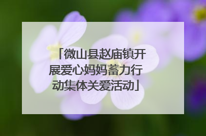微山县赵庙镇开展爱心妈妈蓄力行动集体关爱活动