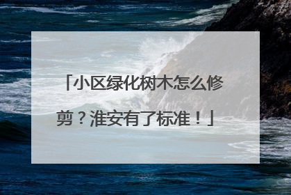 小区绿化树木怎么修剪？淮安有了标准！