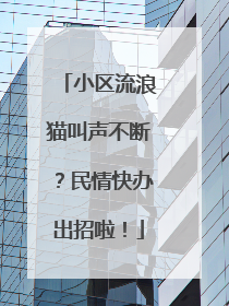 小区流浪猫叫声不断?民情快办出招啦!