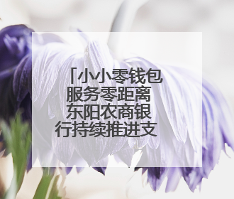 小小零钱包 服务零距离 东阳农商银行持续推进支付便利化