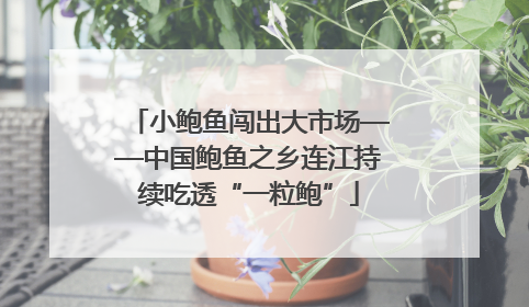 小鲍鱼闯出大市场——中国鲍鱼之乡连江持续吃透“一粒鲍”