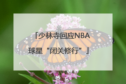 少林寺回应NBA球星“闭关修行”