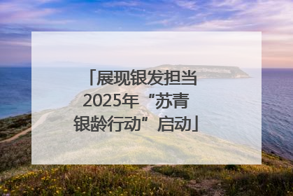 展现银发担当 2025年“苏青银龄行动”启动