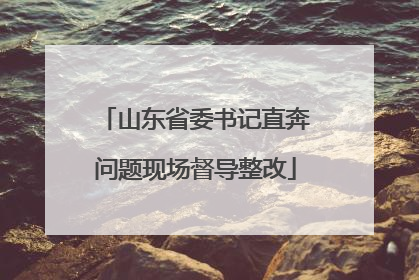 山东省委书记直奔问题现场督导整改